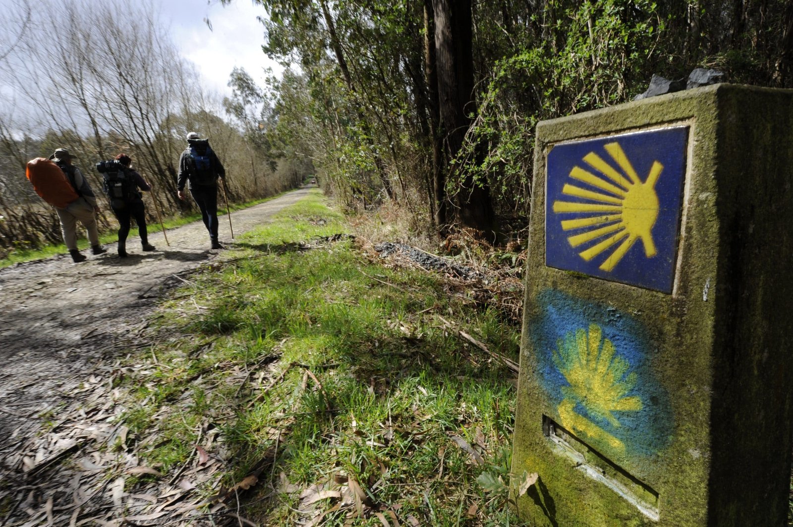 camino-de-santiago.-entre-sobrado-dos-monxes-y-arzua-camino-del-norte-scaled