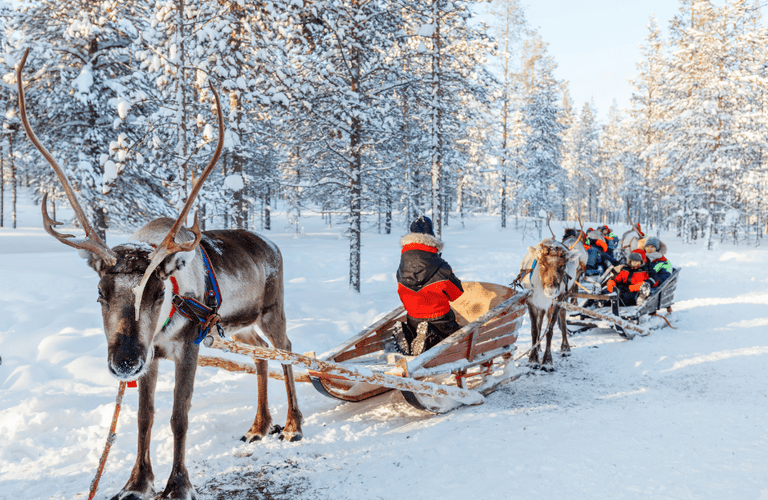 Foto_2_-_Viajar_a_Laponia_en_Invierno